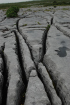 Sheshymore Limestone pavement exposes shallow water carbonates of the Brigantian, Slievenaglasha Formation. These classic kharstified exposures of tabular blocks of limestone pavement, Clints, are cut by vertical fractures, Grikes, which were widened by post glacial disolution (McNamara, & Hennessy, 2010). Fractures were intially established during Variscan folding (Coller, 1984).